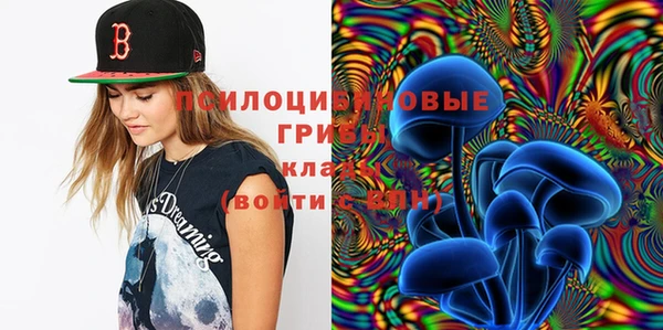 винт Горняк