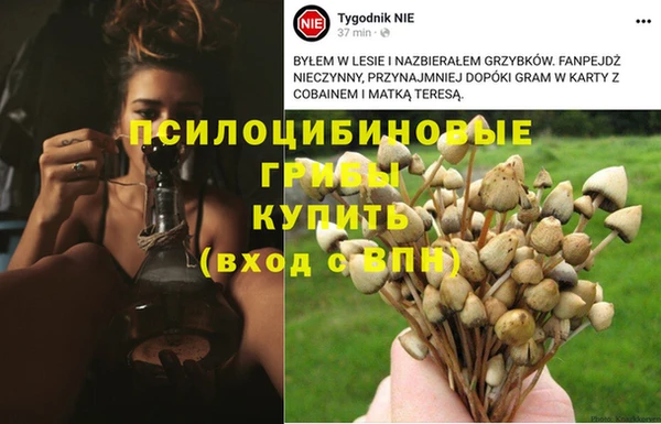 винт Горняк