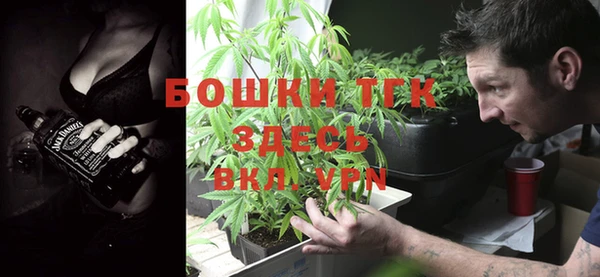винт Горняк