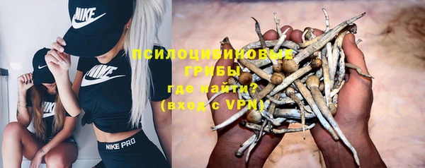 меф Вяземский